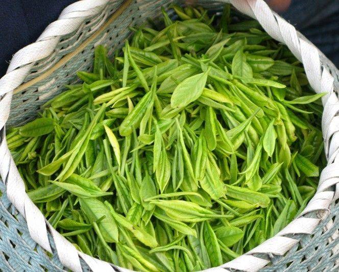 开云体育 开云官网茶叶新零售商城:互联网+茶叶实现产业转型升级(图2) 开云体育 开云官网茶叶新零售商城:互联网+茶叶实现产业转型升级(图2)