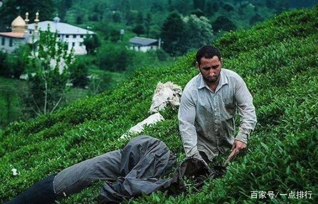 开云 开云体育世界十大茶叶生产国 世界十大茶产地排行榜(图2) 开云 开云体育世界十大茶叶生产国 世界十大茶产地排行榜(图2)