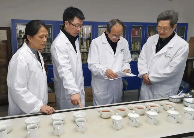 中国茶叶标准是世界之最为什么还有很多人开云体育 开云官网声称“缺失”(图7) 中国茶叶标准是世界之最为什么还有很多人开云体育 开云官网声称“缺失”(图7)
