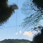 没想到我竟然错了开云体育 开云平台(图20) 没想到我竟然错了开云体育 开云平台(图20)
