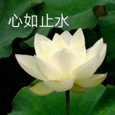 没想到我竟然错了开云体育 开云平台(图24) 没想到我竟然错了开云体育 开云平台(图24)