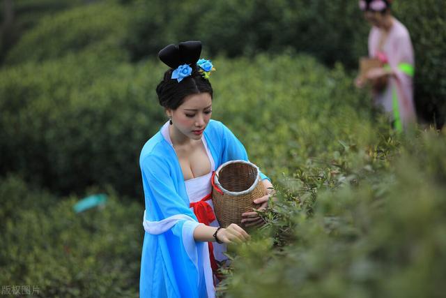 开云 开云体育当下的茶叶为何越来越难销售?(图5) 开云 开云体育当下的茶叶为何越来越难销售?(图5)
