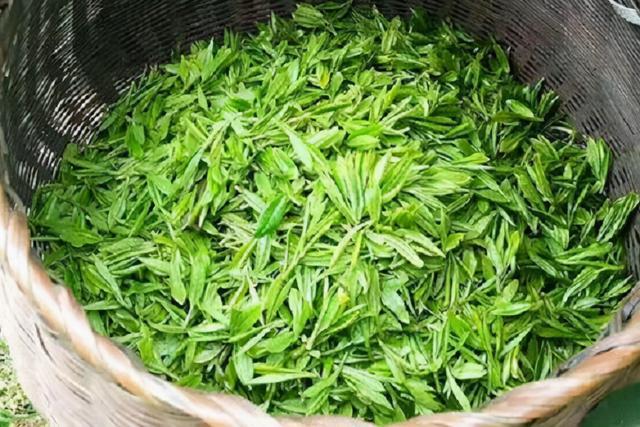 开云体育 开云平台茶叶低至99高达千把块那么它们之间到底有什么区别呢?(图3) 开云体育 开云平台茶叶低至99高达千把块那么它们之间到底有什么区别呢?(图3)
