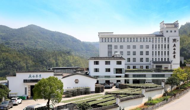 福建农业好品牌——鼎白茶业 传白茶之意 享阳光之味开云 开云体育(图3) 福建农业好品牌——鼎白茶业 传白茶之意 享阳光之味开云 开云体育(图3)