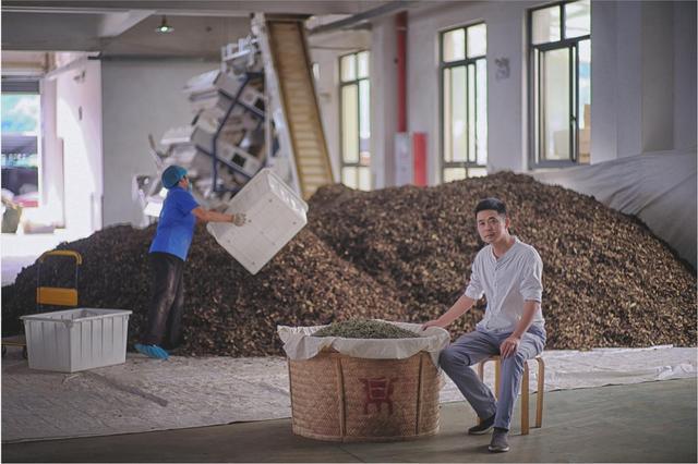 福建农业好品牌——鼎白茶业 传白茶之意 享阳光之味开云 开云体育(图6) 福建农业好品牌——鼎白茶业 传白茶之意 享阳光之味开云 开云体育(图6)