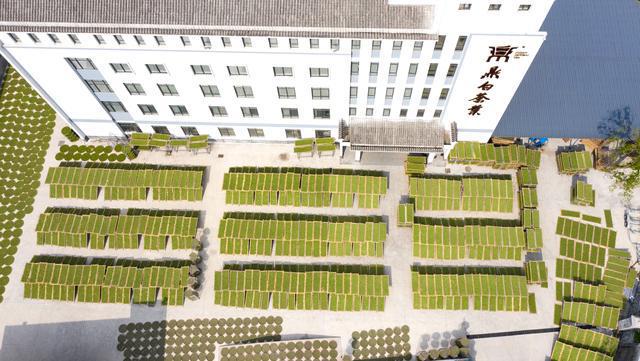 福建农业好品牌——鼎白茶业 传白茶之意 享阳光之味开云 开云体育(图10) 福建农业好品牌——鼎白茶业 传白茶之意 享阳光之味开云 开云体育(图10)