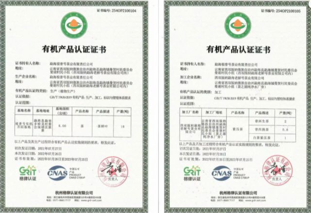 开云体育 开云官网极普号茶业:茗战之巅 再获殊荣(图7) 开云体育 开云官网极普号茶业:茗战之巅 再获殊荣(图7)