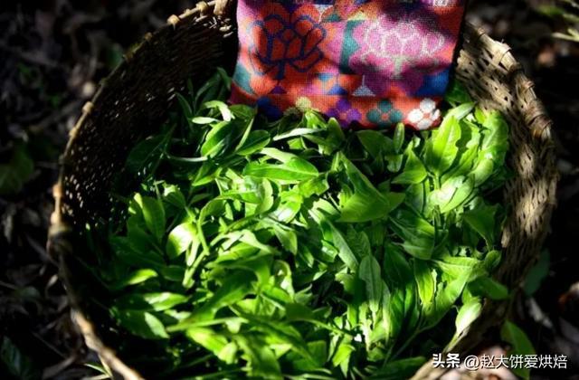无论价格高低只要茶叶包装上有这“3个标志”都是100%优质好茶开云 开云体育(图8) 无论价格高低只要茶叶包装上有这“3个标志”都是100%优质好茶开云 开云体育(图8)