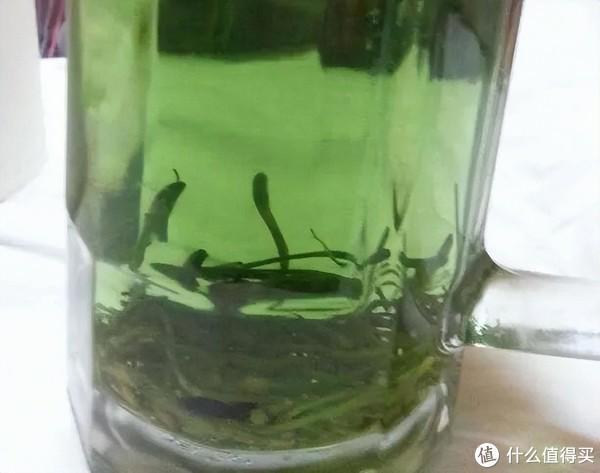 茶叶不管开云 开云体育多大牌只要有这2个特征都是劣质茶你是不是在喝?(图2) 茶叶不管开云 开云体育多大牌只要有这2个特征都是劣质茶你是不是在喝?(图2)