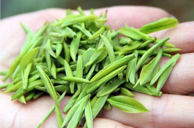 茶旅陪开云 开云体育你逛展会系列报道丨大禹门前树千年苔子茶——北川羌龙谷茶业(图3) 茶旅陪开云 开云体育你逛展会系列报道丨大禹门前树千年苔子茶——北川羌龙谷茶业(图3)