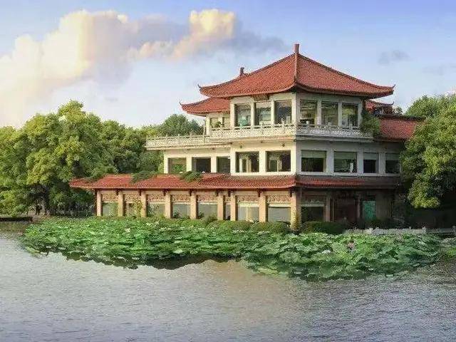 开云 开云体育中国茶叶是如何从衰败走向新辉煌的:回望中国茶叶100年(全)(图15) 开云 开云体育中国茶叶是如何从衰败走向新辉煌的:回望中国茶叶100年(全)(图15)