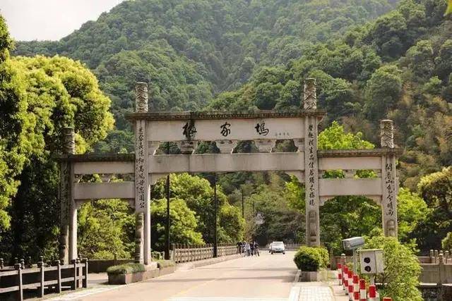 开云 开云体育中国茶叶是如何从衰败走向新辉煌的:回望中国茶叶100年(全)(图24) 开云 开云体育中国茶叶是如何从衰败走向新辉煌的:回望中国茶叶100年(全)(图24)