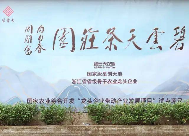 开云 开云体育中国茶叶是如何从衰败走向新辉煌的:回望中国茶叶100年(全)(图34) 开云 开云体育中国茶叶是如何从衰败走向新辉煌的:回望中国茶叶100年(全)(图34)