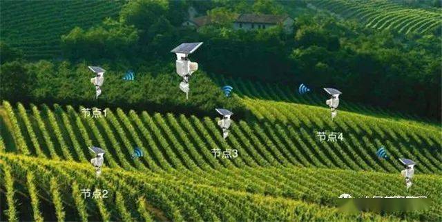 开云体育 开云平台“2019年茶行业六大创新”“精制茶发展现状与前景”“打造中国第七大茶系”(图4) 开云体育 开云平台“2019年茶行业六大创新”“精制茶发展现状与前景”“打造中国第七大茶系”(图4)