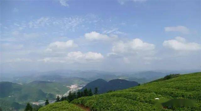 开云体育 开云平台“2019年茶行业六大创新”“精制茶发展现状与前景”“打造中国第七大茶系”(图6) 开云体育 开云平台“2019年茶行业六大创新”“精制茶发展现状与前景”“打造中国第七大茶系”(图6)