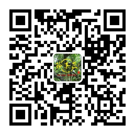 开云 开云体育普洱茶鲜为人知的内幕!普洱茶种类繁多、山头众多到底哪里产的最正宗?哪些更值得选购及收藏?(图12) 开云 开云体育普洱茶鲜为人知的内幕!普洱茶种类繁多、山头众多到底哪里产的最正宗?哪些更值得选购及收藏?(图12)