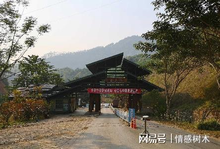 云南深山有个土开云体育 开云APP豪村家家都是百万富翁一斤茶叶卖上千元(图3) 云南深山有个土开云体育 开云APP豪村家家都是百万富翁一斤茶叶卖上千元(图3)