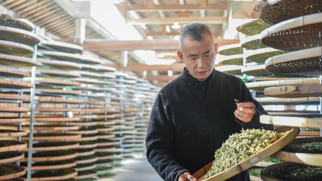 开云体育 开云平台【委员风采】让世界认识政和茶——记南平市政协委员、福建隆合茶业有限公司创始人杨丰(图2) 开云体育 开云平台【委员风采】让世界认识政和茶——记南平市政协委员、福建隆合茶业有限公司创始人杨丰(图2)