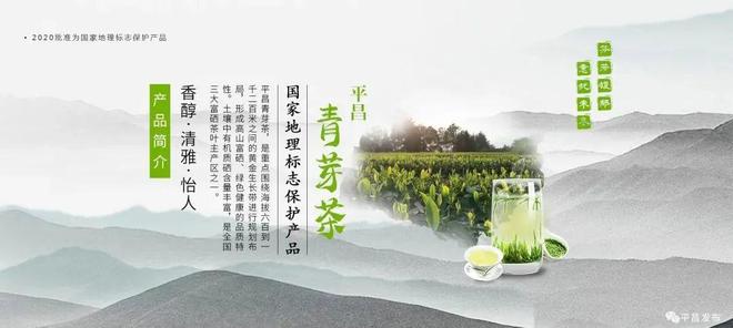 平昌8家茶企亮相第11届四川国开云体育 开云官网际茶业博览会(图6) 平昌8家茶企亮相第11届四川国开云体育 开云官网际茶业博览会(图6)