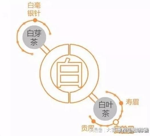 中国六大茶叶品种:品种与特点饮茶基础一遍就懂开云APP 开云体育(图7) 中国六大茶叶品种:品种与特点饮茶基础一遍就懂开云APP 开云体育(图7)