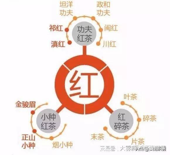 中国六大茶叶品种:品种与特点饮茶基础一遍就懂开云APP 开云体育(图11) 中国六大茶叶品种:品种与特点饮茶基础一遍就懂开云APP 开云体育(图11)