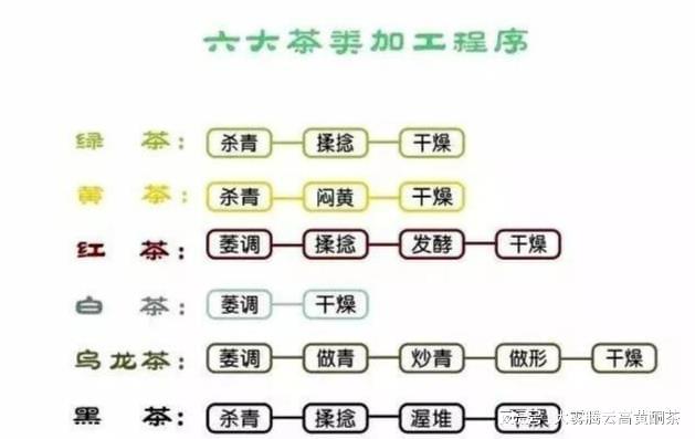中国六大茶叶品种:品种与特点饮茶基础一遍就懂开云APP 开云体育(图2) 中国六大茶叶品种:品种与特点饮茶基础一遍就懂开云APP 开云体育(图2)
