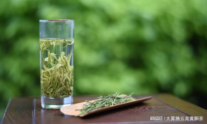 中国六大茶叶品种:品种与特点饮茶基础一遍就懂开云APP 开云体育(图4) 中国六大茶叶品种:品种与特点饮茶基础一遍就懂开云APP 开云体育(图4)