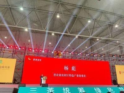 做响雅茶品牌 振兴雅茶产业 雅安市20家茶开云APP 开云体育企亮相第11届四川国际茶业博览会(图11) 做响雅茶品牌 振兴雅茶产业 雅安市20家茶开云APP 开云体育企亮相第11届四川国际茶业博览会(图11)