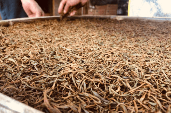 开云体育 开云官网茶叶的分类中国传统六大茶叶(图8) 开云体育 开云官网茶叶的分类中国传统六大茶叶(图8)