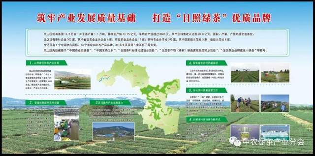 山东日照岚山区：“南茶北引”起家十年位列“中国茶业百强县”开云体育 开云平台(图6)