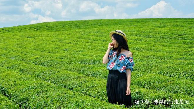 云贵高开云体育 开云平台原上一颗明珠被誉为“云贵小江南”号称贵州茶业第一县(图1) 云贵高开云体育 开云平台原上一颗明珠被誉为“云贵小江南”号称贵州茶业第一县(图1)