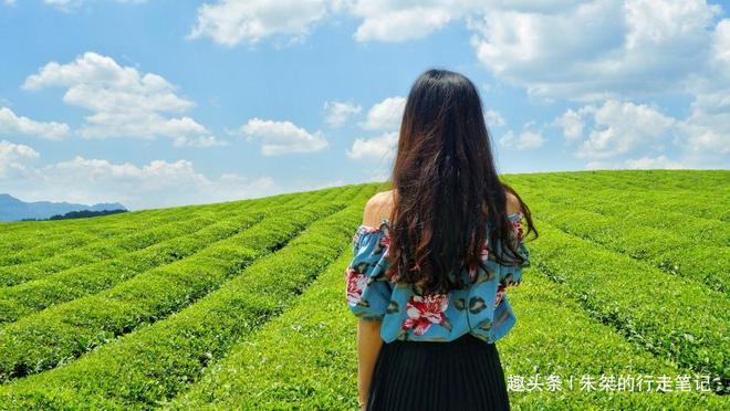 云贵高开云体育 开云平台原上一颗明珠被誉为“云贵小江南”号称贵州茶业第一县(图2) 云贵高开云体育 开云平台原上一颗明珠被誉为“云贵小江南”号称贵州茶业第一县(图2)