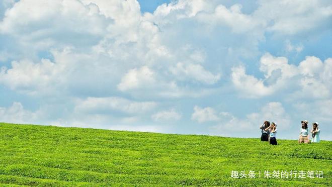 云贵高开云体育 开云平台原上一颗明珠被誉为“云贵小江南”号称贵州茶业第一县(图5) 云贵高开云体育 开云平台原上一颗明珠被誉为“云贵小江南”号称贵州茶业第一县(图5)