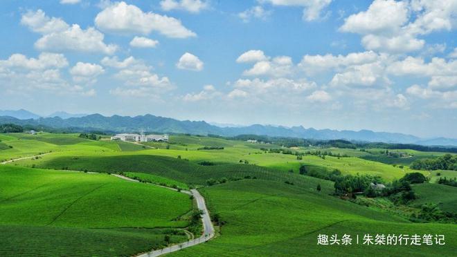 云贵高开云体育 开云平台原上一颗明珠被誉为“云贵小江南”号称贵州茶业第一县(图7) 云贵高开云体育 开云平台原上一颗明珠被誉为“云贵小江南”号称贵州茶业第一县(图7)