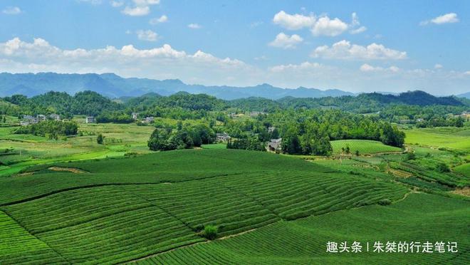 云贵高开云体育 开云平台原上一颗明珠被誉为“云贵小江南”号称贵州茶业第一县(图8) 云贵高开云体育 开云平台原上一颗明珠被誉为“云贵小江南”号称贵州茶业第一县(图8)