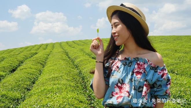 云贵高开云体育 开云平台原上一颗明珠被誉为“云贵小江南”号称贵州茶业第一县(图15) 云贵高开云体育 开云平台原上一颗明珠被誉为“云贵小江南”号称贵州茶业第一县(图15)
