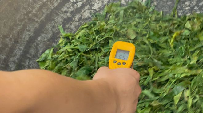 好茶难卖的背后:茶好一定要卖高价!茶叶只能开云 开云体育躺在仓库睡大觉(图12) 好茶难卖的背后:茶好一定要卖高价!茶叶只能开云 开云体育躺在仓库睡大觉(图12)
