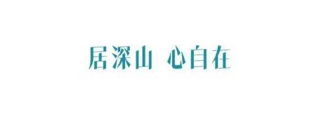 开云 开云体育地标馆 别看西湖龙井了 茶叶地标TOP3浙江真的很能喝(图7) 开云 开云体育地标馆 别看西湖龙井了 茶叶地标TOP3浙江真的很能喝(图7)