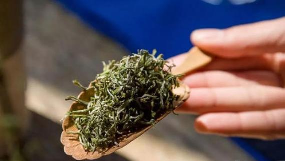 开云体育 开云官网不足百元的茶叶能喝吗?老茶客:“口粮茶”才是属于老百姓的茶(图12) 开云体育 开云官网不足百元的茶叶能喝吗?老茶客:“口粮茶”才是属于老百姓的茶(图12)