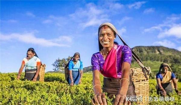 开云体育 开云平台为何中国要花22亿元从印度大规模的进口茶叶呢?(图4) 开云体育 开云平台为何中国要花22亿元从印度大规模的进口茶叶呢?(图4)