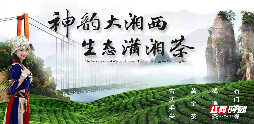 回眸谈茶开云体育 开云官网 2020湖南茶业“十件大事”发布!(图3) 回眸谈茶开云体育 开云官网 2020湖南茶业“十件大事”发布!(图3)