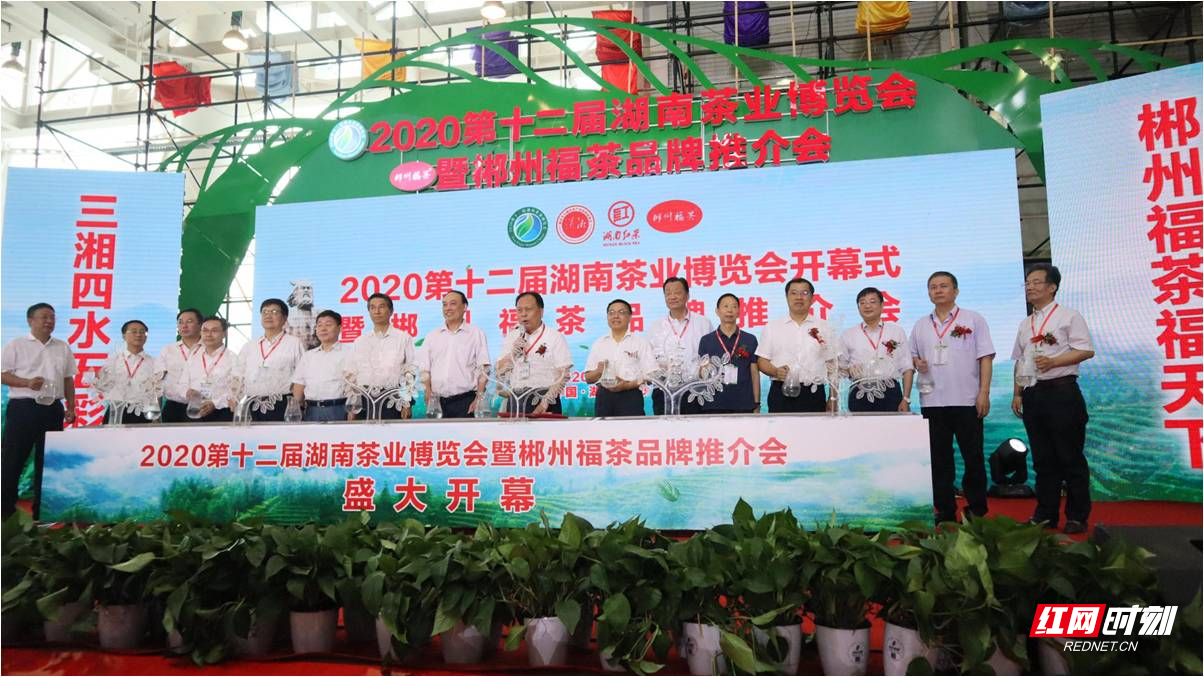 回眸谈茶开云体育 开云官网 2020湖南茶业“十件大事”发布!(图6) 回眸谈茶开云体育 开云官网 2020湖南茶业“十件大事”发布!(图6)