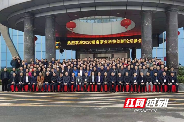 回眸谈茶开云体育 开云官网 2020湖南茶业“十件大事”发布!(图7) 回眸谈茶开云体育 开云官网 2020湖南茶业“十件大事”发布!(图7)