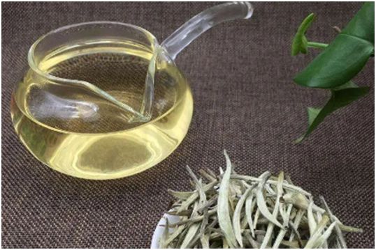 家中翻出来5年的茶叶还能喝吗?茶叶的保质期是多久建议了解开云APP 开云体育(图11) 家中翻出来5年的茶叶还能喝吗?茶叶的保质期是多久建议了解开云APP 开云体育(图11)