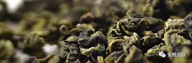 开云 开云体育明清茶叶生产形态的思考和启发(图8) 开云 开云体育明清茶叶生产形态的思考和启发(图8)