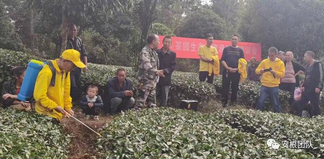 开云 开云体育明清茶叶生产形态的思考和启发(图7) 开云 开云体育明清茶叶生产形态的思考和启发(图7)