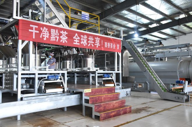 助力黔茶再出海!湄潭县栗香茶业6000万美元订单开云 开云体育举行首发仪式(图6) 助力黔茶再出海!湄潭县栗香茶业6000万美元订单开云 开云体育举行首发仪式(图6)