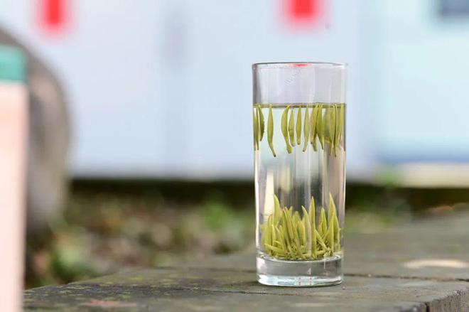开云体育 开云官网【武阳春雨】数字茶业 “浙里有机茶”应用数字化改革路径与建设(图2) 开云体育 开云官网【武阳春雨】数字茶业 “浙里有机茶”应用数字化改革路径与建设(图2)