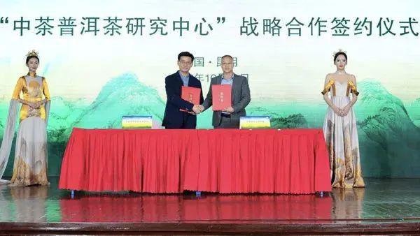 一周茶事 | 多个茶叶区域开云APP 开云体育公用品牌入选农业农村部相关名单;喜小茶线下门店关闭(图4) 一周茶事 | 多个茶叶区域开云APP 开云体育公用品牌入选农业农村部相关名单;喜小茶线下门店关闭(图4)