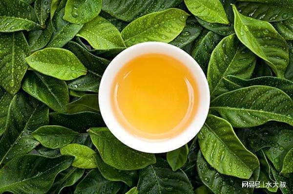 医生提醒喝茶人务必要开云体育 开云官网警惕3种茶叶能不喝就不喝(图6) 医生提醒喝茶人务必要开云体育 开云官网警惕3种茶叶能不喝就不喝(图6)